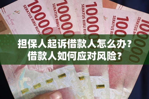 北京担保人起诉借款人怎么办？借款人如何应对风险？