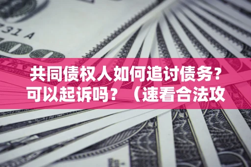 北京共同债权人如何追讨债务？可以起诉吗？（速看合法攻略）