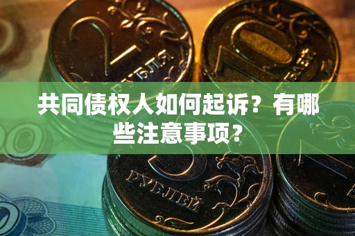 北京共同债权人如何起诉？有哪些注意事项？